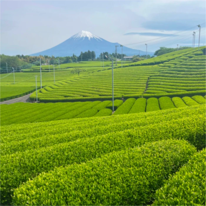 自然の景色